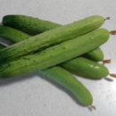 해피건강팜 이미지