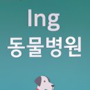 아이앤지동물병원 이미지