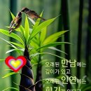 익숙한게 좋아 이미지
