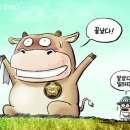 만평 이미지
