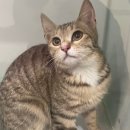 부천로46번길 이미지