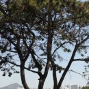 연지동-1 이미지