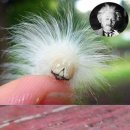 미주리헤어 이미지