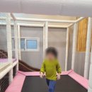 레스트풀76 이미지