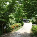 상추네 민박 이미지