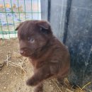 성호농원 이미지