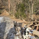 산골이야기2