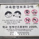 이글루고 태양광발전소 이미지