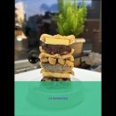 고재농장 | 부산, 해운대, 카페, 데이트, 추천 고재 해운대해리단길점 부산 해운대 카페 추천