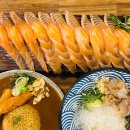 고치소사마대전 | 대전 봉명동 맛집 고치소사마 연어초밥 일본식카레 냉우동 후기