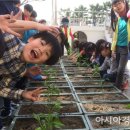 전주서문초등학교 이미지