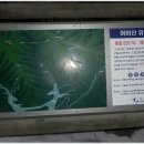 대리교 이미지