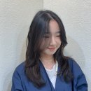플러터헤어
