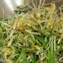 달래농장 이미지