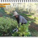 가을농원 이미지