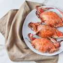 바다슈퍼 이미지