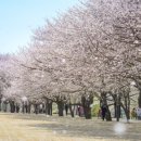 풍덕공원 서울일보
