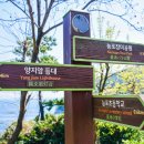 양지암 조각공원 이미지