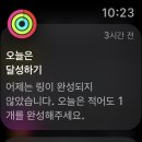 동락다방