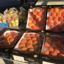 용진농장 이미지