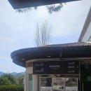 금산 하늘물빛정원 방문 후기 자연 속 힐링 공간(식사·카페·산책·볼거리·펫카페·찜질방·펜션까지)