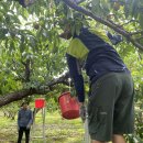 정태농장 이미지