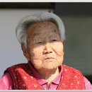 바람꽃건강 이미지