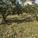 동부분소 이미지