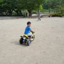 수성유도관 이미지