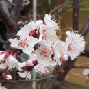 아진축산 이미지