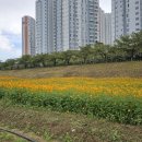 호포농장 이미지