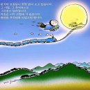 한솔원목