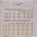쭈야샾