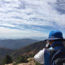 유림-1035 이미지