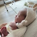 비다움 - 본아트 홈스냅 촬영 후기 (@청주, 대전 스냅 추천 / 내돈내산)