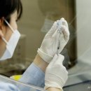 (주)한국바이오케미칼 이미지