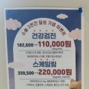 노블동물병원 이미지