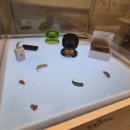 부산제일보청기 이미지