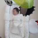 샛별프라자 | 김해산후도우미 다온 3주간의 후기
