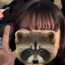 루리헤어 | 포항 효자 미용실 유아키 헤어 사이드뱅 레이어드 펌 후기