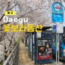 시청별관앞 꽃보라동산 이미지