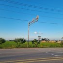 난영미용실 이미지