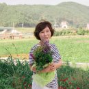 닥터하스킨 이미지