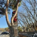 더하다 가야점 | 경주 불국사 근처 산죽향 _ 고즈넉한 한옥 분위기에 맛있는 화덕피자를 더하다.