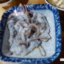 땅끝해오름민박 이미지