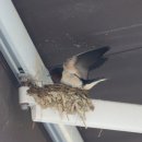 미니스톱 진도지산점 이미지