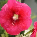 H9019 이미지