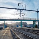 남성5길1 이미지