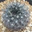 O.K 동물병원 이미지