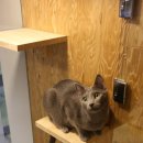 청주지웰동물병원 이미지